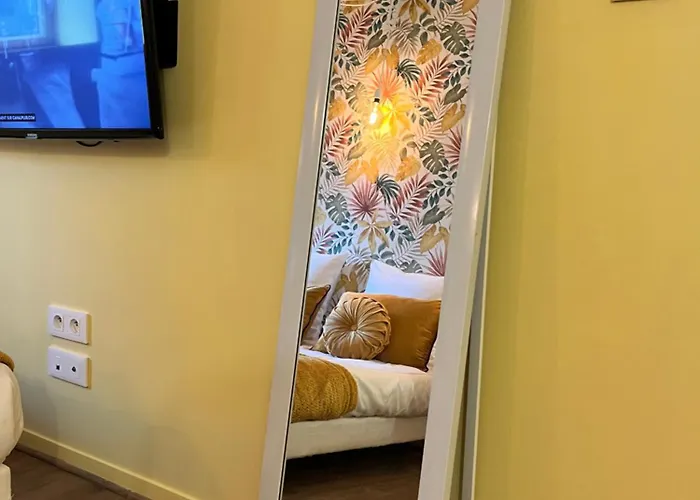 La Bonbonniere Jaune Apartment *